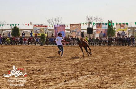 همایش بزرگ اسب + گزارش تصویری