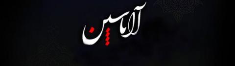 سلام علی آل یاسین...